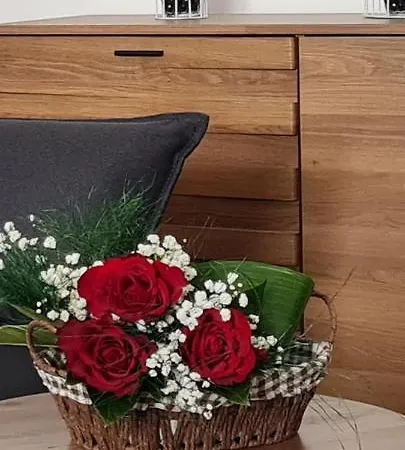 Tim Lux 2 Lejlighed Vrnjačka Banja