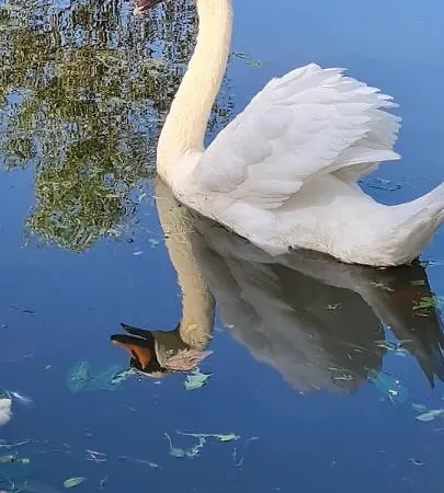 Tim Lux 2 Apartment *