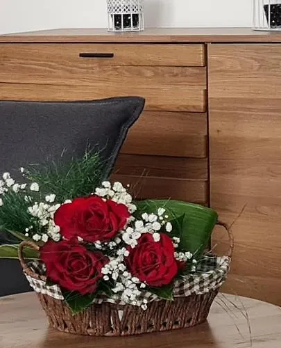 Tim Lux 2 아파트 Vrnjačka Banja