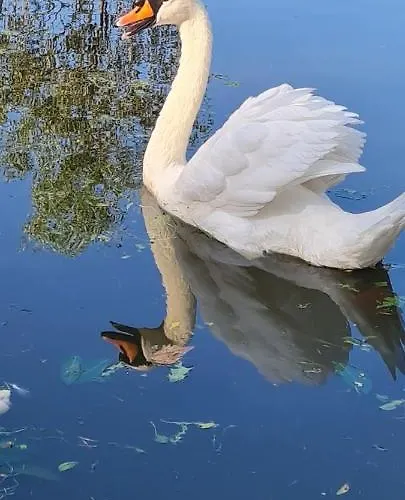 Tim Lux 2 아파트 *